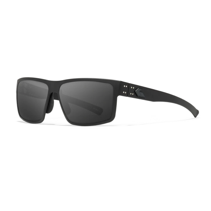 Lunettes Ballistic Rig MILSPEC - Cerakote noir avec logo noir / Fumée avec antibuée