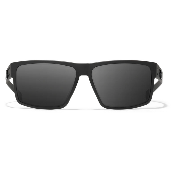 Lunettes Ballistic Rig MILSPEC - Cerakote noir avec logo noir / Fumée avec antibuée