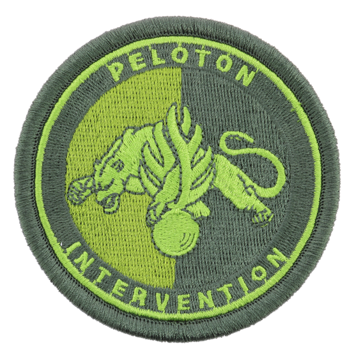 Ecusson Peloton Intervention Gendarmerie BV vert